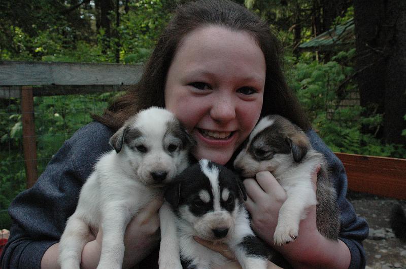 2005JuneAK0194.JPG - 2005 - Ididaride, Seward, AK - Stephanie & sled dog puppies